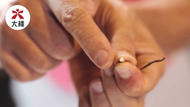 Sam哥 教你分辨 野生 / 培植 / 凍乾 冬蟲夏草！超便宜冬蟲草能否買？凍乾蟲草是真是假？蟲草產地大不同！防騙必睇攻略！Feat 大棧西藏野生冬蟲夏草 Cordyceps 【香港廣東話】 смотреть онлайн