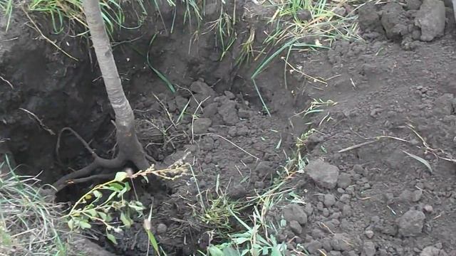 Стройка Вдохновение