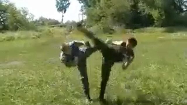 красота боевых искусств смотреть онлайн