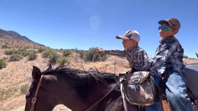 A Day in The LIFE…(and DEATH)………… смотреть онлайн