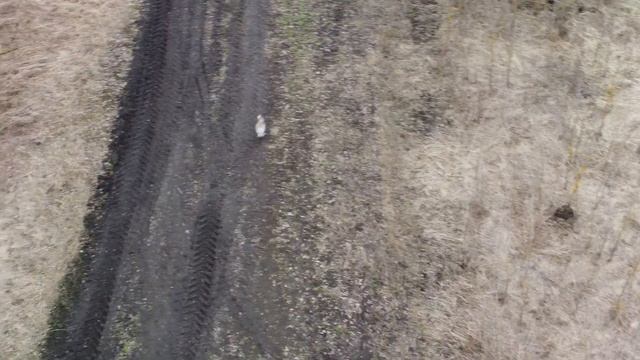 Заяц 2. Ходынинские дворики. Раскосый показывает все засады на грунтовках вокруг) смотреть онлайн