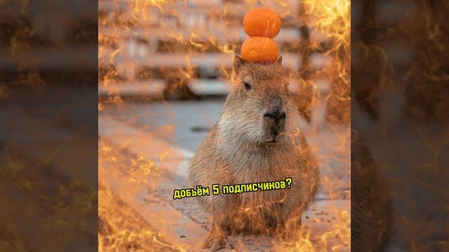 Добьём? смотреть онлайн