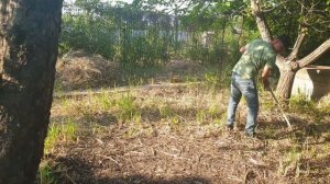 На Заброшенной даче уборка участка