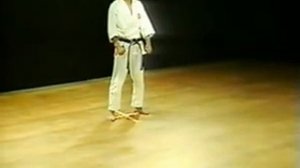 Ката каратэ сетокан - Хейан Годан