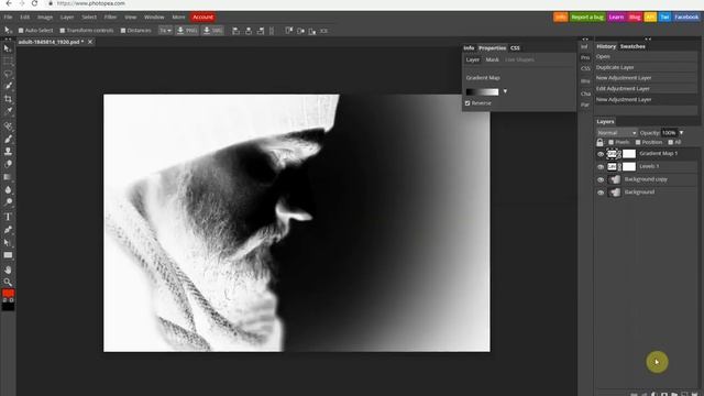 Photopea tutorial: Levels and Gradient Map смотреть онлайн