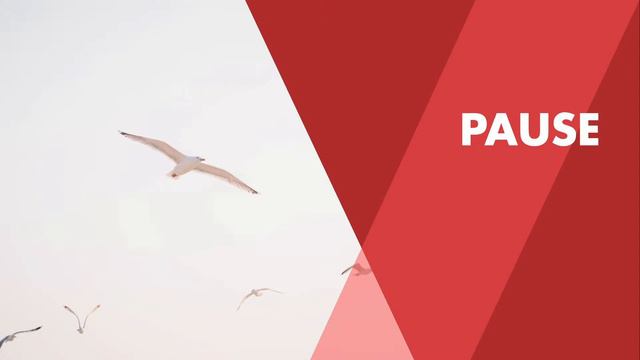 Staatsrecht I – Staatsorganisationsrecht [2. Termin] смотреть онлайн