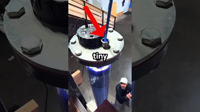 Я вылечил Мистера Биста от боязни высоты смотреть онлайн