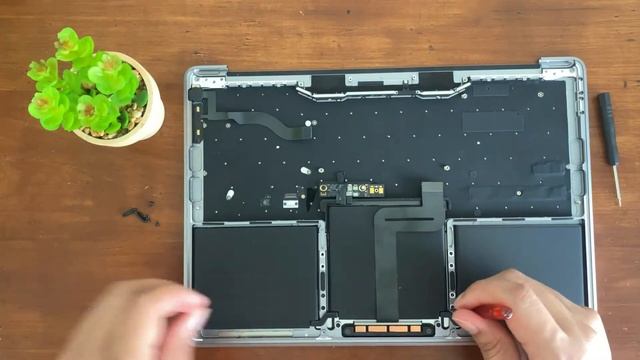 How To Change, Replace, Or Clean Your MacBook's Trackpad In Minutes ?