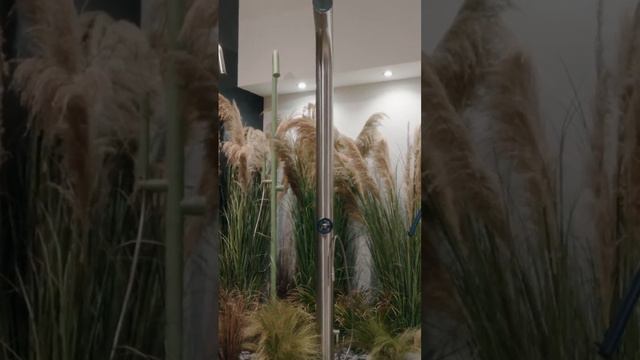 BONGIO Shorts Salone24 Detagli 4