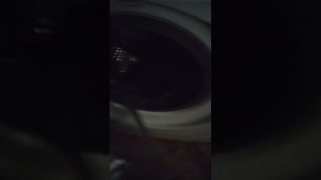 как помыть кошку или кота