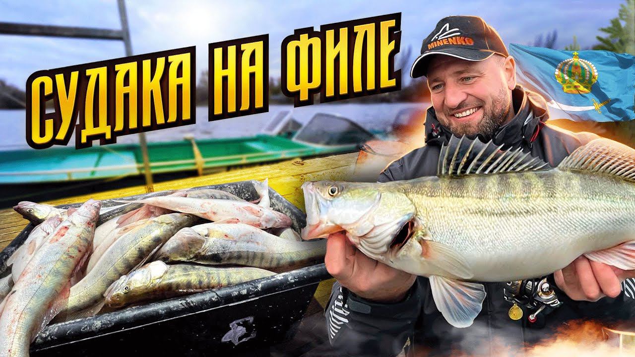 РЫБАЛКА В АСТРАХАНИ! ЗАГОТОВКА СУДАКА НА НОВЫЙ ГОД! смотреть онлайн