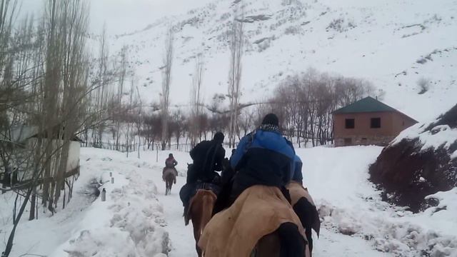 СЕГОДЯ - 22 января 2022 г. смотреть онлайн