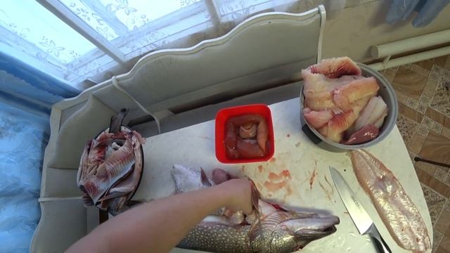 ЧТО ДЕЛАТЬ с кучей крупной рыбы? РЕЧНЫЕ МОНСТРЫ смотреть онлайн