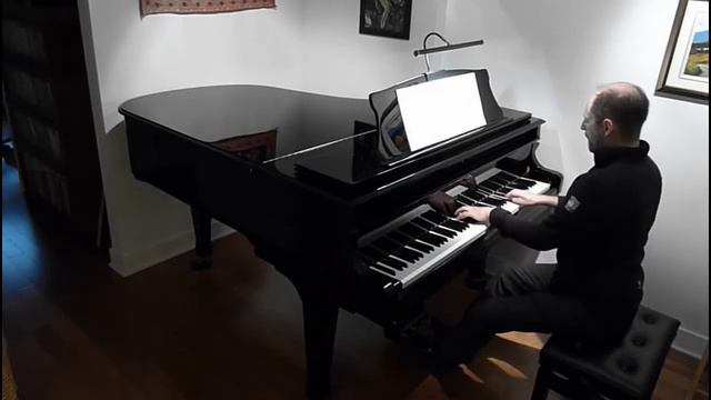 Fandrich & Sons 6'-1" 185HGS-H Grand Piano Nocturne op. 9 no 2 смотреть онлайн