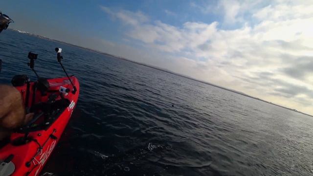 Summer Fishing for Squid - Daytime Squid Fishing - Eging (Squid Jigging) #23 смотреть онлайн