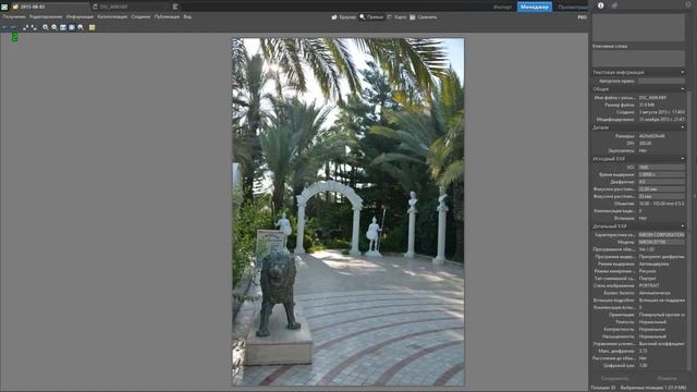 Zoner Photo Studio как пользоваться ( Zoner Photo Studio Обзор программы ) смотреть онлайн