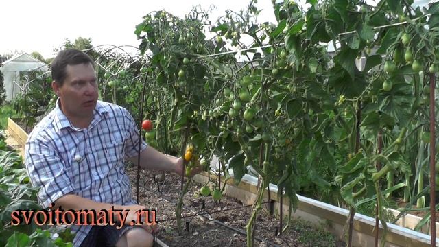 Жёлтая карамель смотреть онлайн