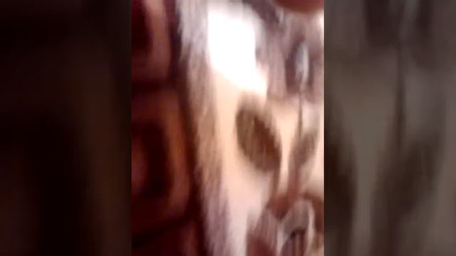 Обзор волчков из окей смотреть онлайн