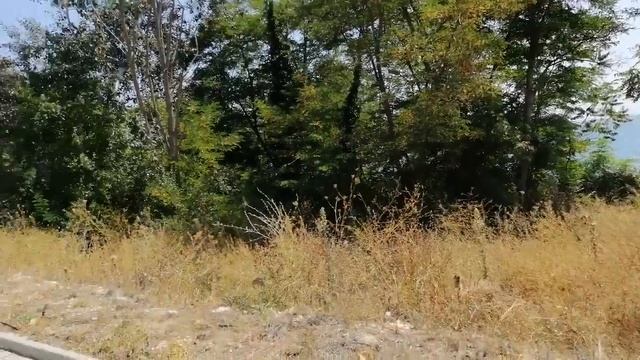 Pride Solo 4x8" + 3k amps sounddigital смотреть онлайн