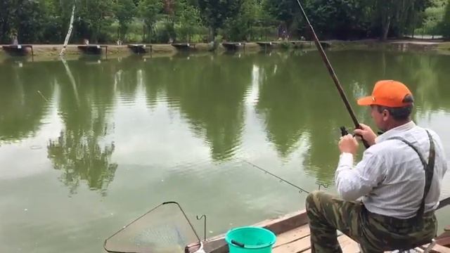 Клёв карпа в Р.К. Фишка Липки