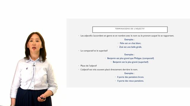 Les adjectifs qualificatifs dans la grammaire française смотреть онлайн