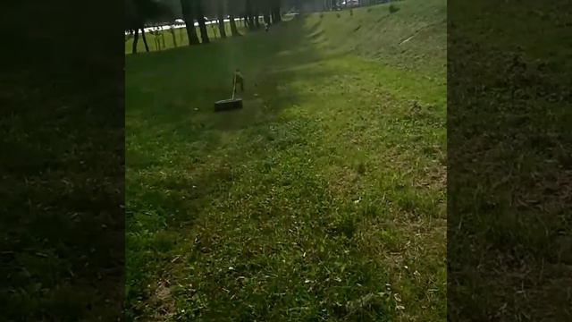 Занятие с Американским питбультерьером по кличке "Цезарь" смотреть онлайн