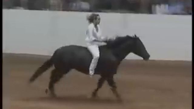 Stacy Westfall Championship Bareback & Bridleless Freestyle Reining With Roxy
