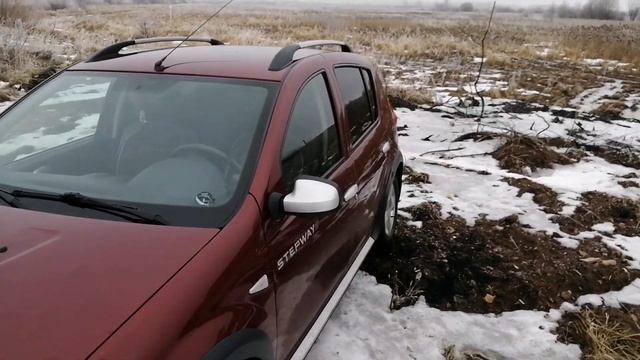Рено сандеро степвей, короткий отзыв владельца