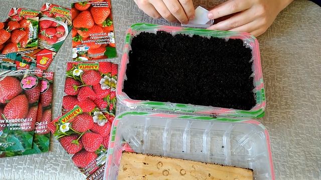 САМЫЙ НАДЕЖНЫЙ И ЛЕГКИЙ СПОСОБ ПОСЕВА ЗЕМЛЯНИКИ И КЛУБНИКИ смотреть онлайн