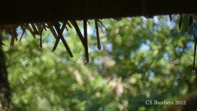 Amefuri Duet Fife & Thai Flute by CSBros [LD D1013C USB Microphone test] смотреть онлайн