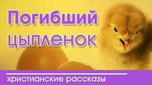ИНТЕРЕСНЫЙ РАССКАЗ  "Погибший цыпленок" |  Детские христианские рассказы
