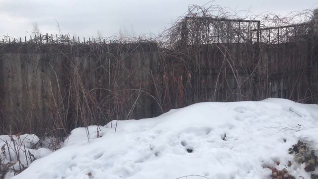 Делаем второй въезд на дачу. Собачья работа)) смотреть онлайн