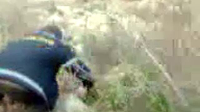 Айгуль цветок( Fritillaria eduardii) Кыргызстан смотреть онлайн