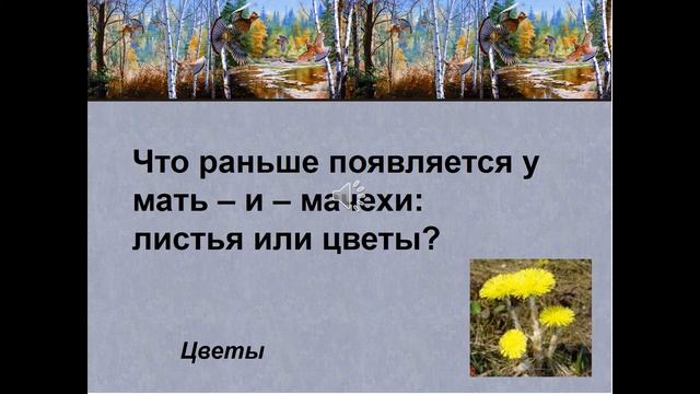 Экологическая викторина Берегите природу смотреть онлайн