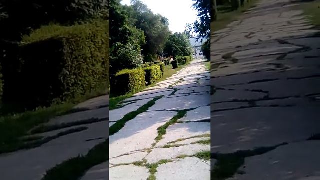 Аллея без скамеек у Б. Горной. смотреть онлайн