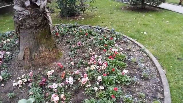 АДЛЕР. ОТКАЗАЛИСЬ ОТ ОБЕДА. КУКУРУЗА НА ДЕСЕРТ. КАК Я ПЕРЕВОЖУ ЮЖНЫЕ РАСТЕНИЯ ДОМОЙ.