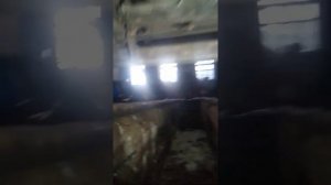 газон некст масло бежит очень печальное состояние