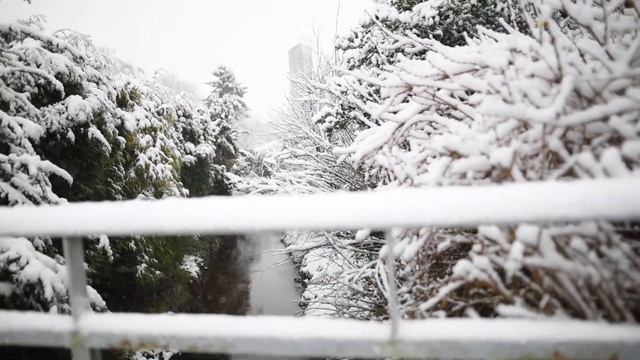 20171209 Hilden Germany смотреть онлайн