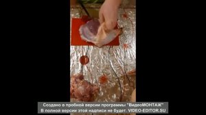Тушенка из индейки в автоклаве