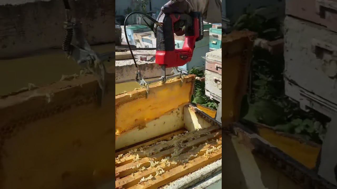 Новый гаджет из Китая за 15 тыс. Мечта пчеловода смотреть онлайн