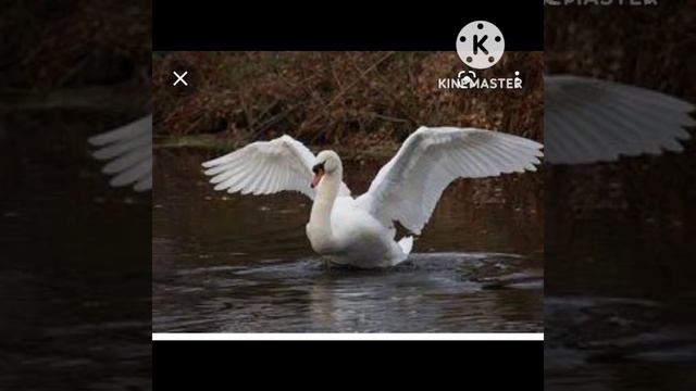 17 ноября 2022 г. смотреть онлайн