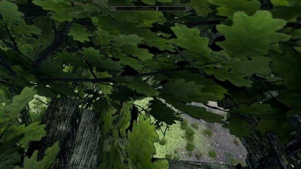 Skyrim-REC-Rigmor of Bruma and Cyrodiil play Act7 Episode 6