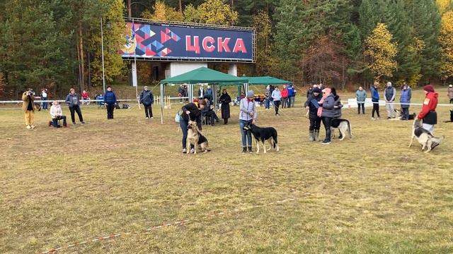 IMG 11481 смотреть онлайн