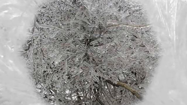 Книга Сказок (The imagery) смотреть онлайн