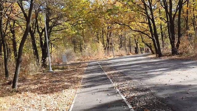 мои личные регистрации, откуда? смотреть онлайн