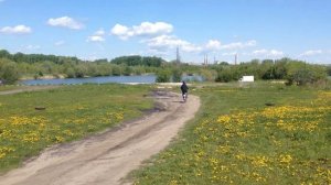 Велосипед с мотором от мотокосы. Покатушки.