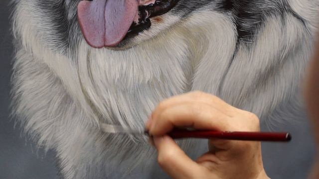 How to paint realistic white fur in acrylic step by step смотреть онлайн