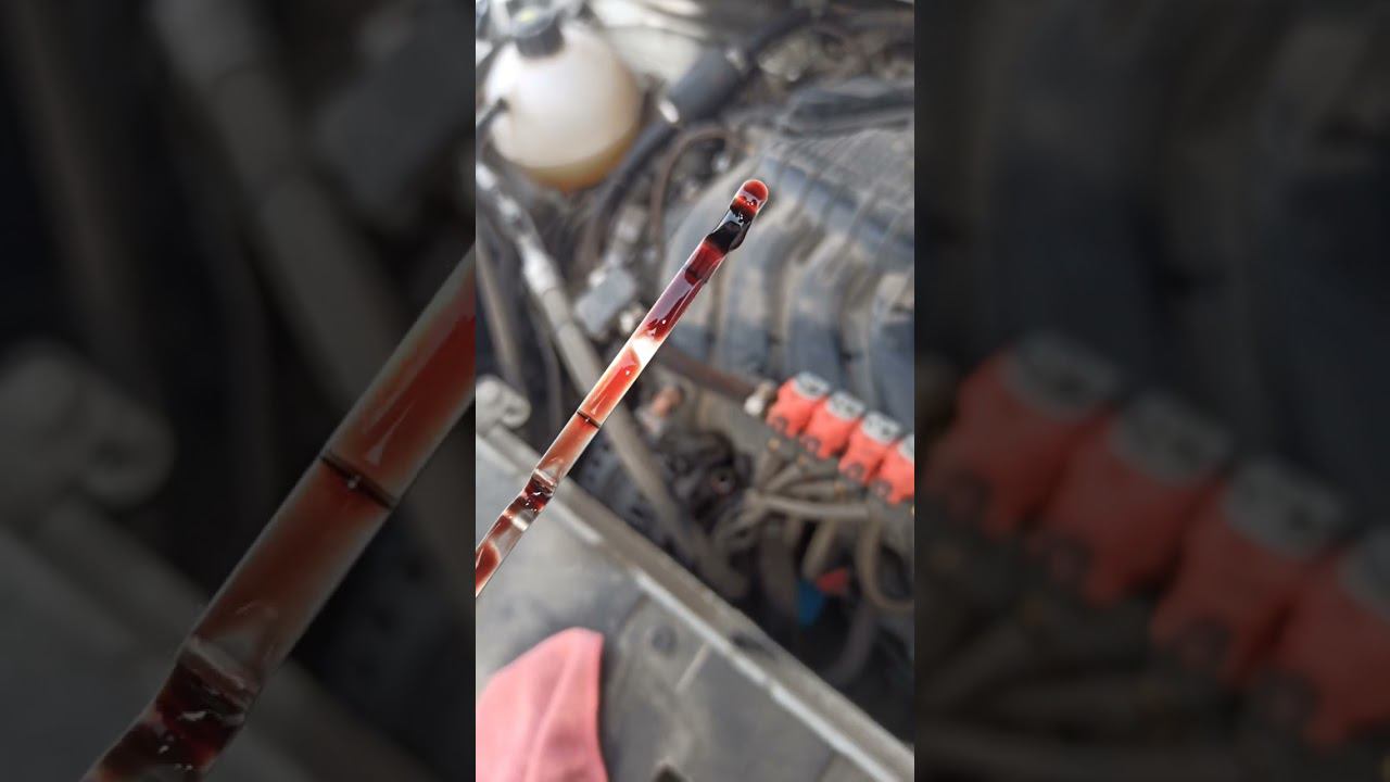 Кровавое масло - Синтек Платинум 5w30 )) смотреть онлайн