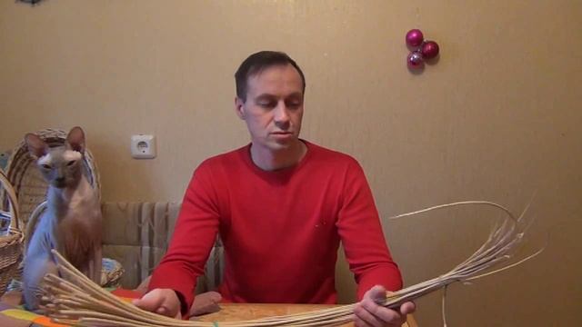 Лозоплетение.Подготовка прута перед работой смотреть онлайн