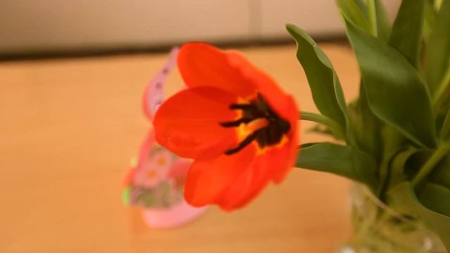 Поздравление учителям школы 39 г.Павлодар с 8 марта 2018 от 1В смотреть онлайн